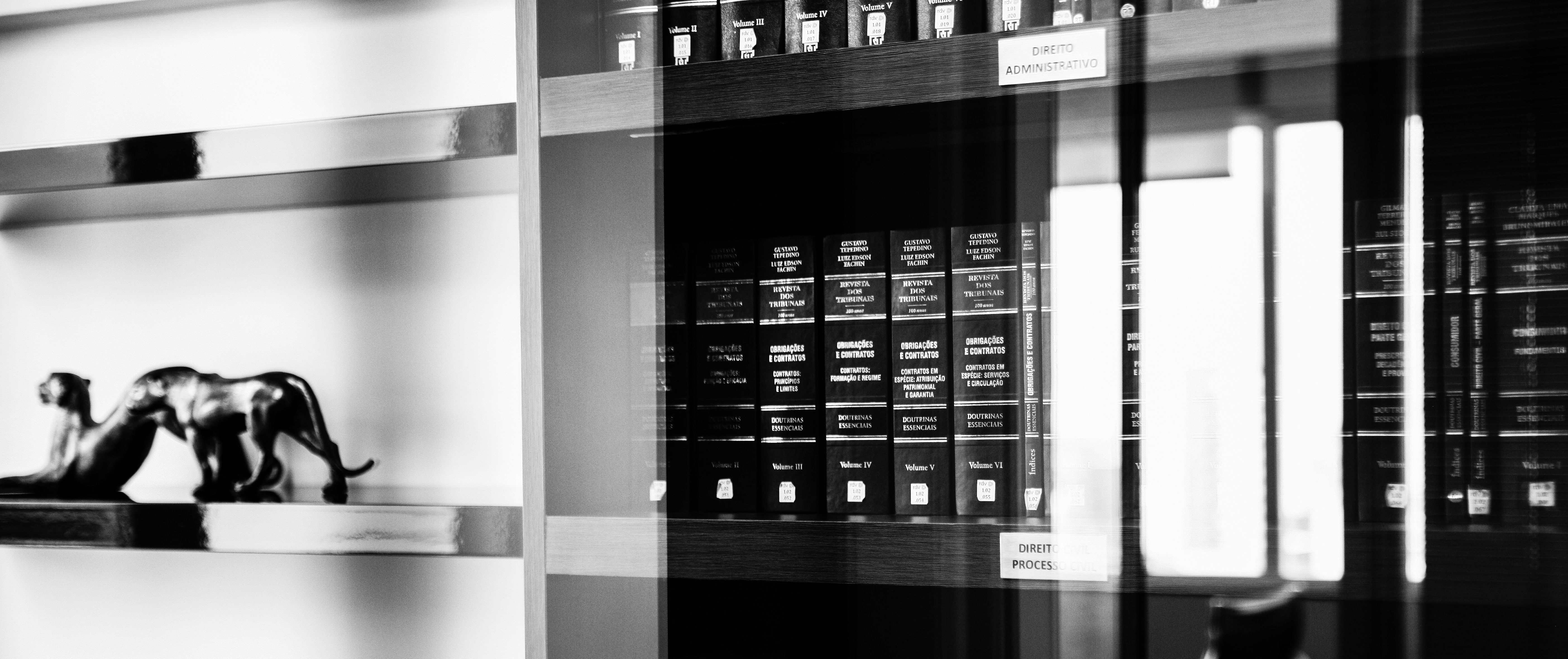 BIBLIOTECA PB cortada